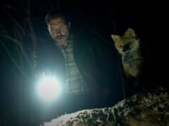 La comedia negra de Jai Courtney-Emily Browning tiene mordiente