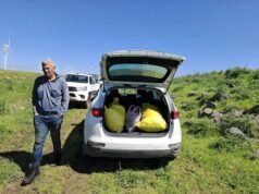 Cientos de kilos de plantas protegidas incautadas por la Autoridad de Parques y Naturaleza de Israel en el Golán