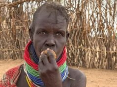 Desesperados por conseguir comida, los kenianos afectados por la sequía recurren al árbol de pan de jengibre