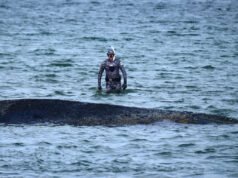 Una ballena varada en un centro turístico del Mar Báltico nadó hasta un banco de arena. Pero aún no es seguro