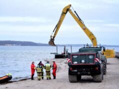 Los rescatistas intentan recuperar una ballena varada en la costa báltica alemana