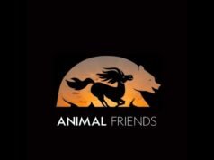 ‘Animal Friends’ de Ryan Reynolds y Jason Momoa se traslada al 2027