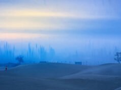 Casi medio millón de imágenes enviadas, ¡solo éstas fueron seleccionadas!