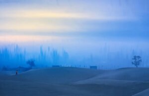 Casi medio millón de imágenes enviadas, ¡solo éstas fueron seleccionadas!