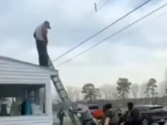 ICE dice que dueña de Maryland no les contó sobre inmigrantes que contrató