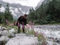 Conozca los secretos de la despensa de la naturaleza en un viaje de búsqueda de comida a los Dolomitas de Brenta, Italia.