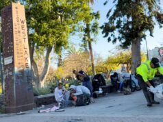 La limpieza del parque MacArthur no tiene sentido