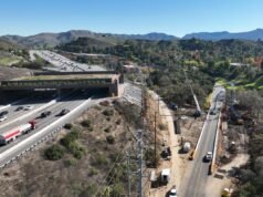 El puente inacabado sobre vida silvestre se suma a la lista de fracasos