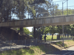 Ciclista de Davis muere en accidente con adolescente en bicicleta eléctrica – The Mercury News