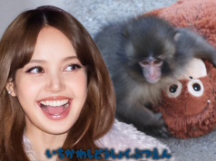 LISA DE BLACKPINK visita a Punch the Monkey y trae un animal de peluche de orangután