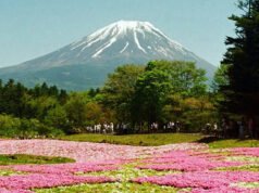El turismo en Japón crece a medida que los viajeros miran más allá de Tokio y Kioto