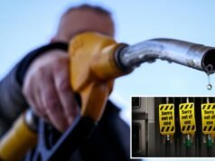 La AIE recomendará la liberación de 400 millones de barriles de petróleo, la mayor liberación jamás realizada, para frenar el aumento de precios provocado por la guerra de Irán: informe