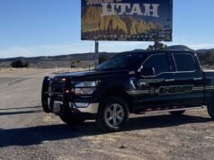 Hombre arrestado después de que se encontraran muñecas sexuales infantiles en un vertedero local