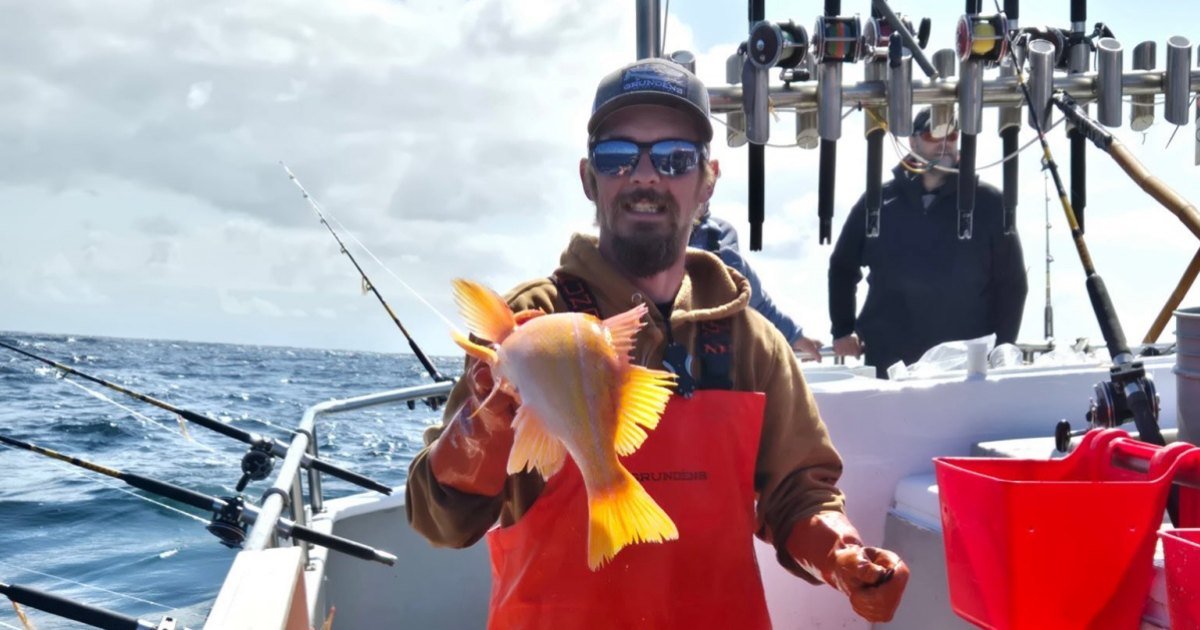 La estrella más mortífera Todd Meadows, su compañero de cama, su familia y sus amigos lamentan su muerte a los 25 años