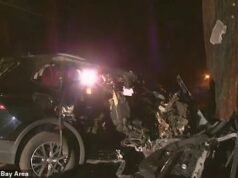 La ciudad de Ritzy Bay Area quedó destrozada después de que la hija de 16 años de una maestra matara a cuatro amigos en un accidente a alta velocidad… luego publicó un video en TikTok que añadió más leña al fuego.