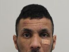 Ladrón argelino roba un huevo Fabergé de £ 2 millones y lo roba del bolso de Givenchy del jefe del whisky en el pub Soho, mientras lo condenan a dos años de cárcel