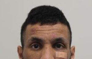 Ladrón argelino roba un huevo Fabergé de £ 2 millones y lo roba del bolso de Givenchy del jefe del whisky en el pub Soho, mientras lo condenan a dos años de cárcel