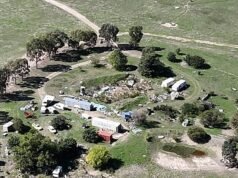 La razón principal por la que la familia de Dezi Freeman está FURIOSA por la muerte del policía asesino y la gran pregunta que exigen respuesta de la policía