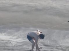Momento impactante: un pescador de 20 años lucha con un GRAN TIBURÓN BLANCO en una playa de California
