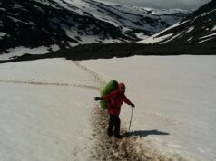 Cómo confiar en el asesor financiero de mi difunta madre resultó ser la decisión financiera más desastrosa que jamás haya tomado