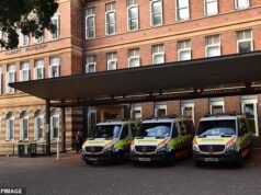 Un hombre lucha por su vida después del presunto ataque con martillo perpetrado por una mujer mientras estaba en una cama de hospital en Sydney