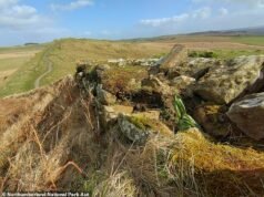 Indignación por los perezosos paseadores de perros que amenazan el Muro de Adriano empujando bolsas de basura entre las piedras
