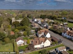 Vivimos en un pueblo que los laboristas eligieron como una de las nuevas ciudades de Gran Bretaña, pero no podemos gestionar 40.000 viviendas adicionales si ni siquiera tenemos una tienda.