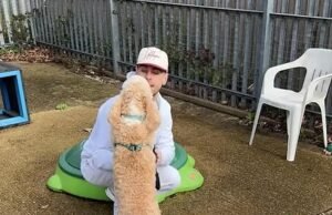 ¡Mejores amigos! Momento conmovedor La estrella de Love Island y su mascota cockapoo salvan a Dexter, el caniche que murió con 250 perros en una casa sórdida