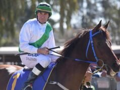 Teme que el jinete pueda perder las piernas después de quedar atrapado debajo de un caballo muerto durante seis horas