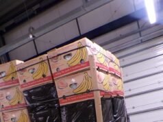 Cocaína valorada en 256 millones de libras y “más pesada que un rinoceronte adulto” encontrada escondida en cajas de plátanos en una de las colecciones más grandes jamás realizadas en el Reino Unido