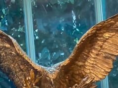 Trump añade un nuevo detalle dorado a la Oficina Oval