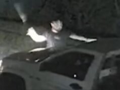 Guardias de seguridad criticados tras atacar con bates de béisbol su propio coche robado