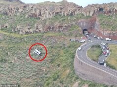 La viuda de un jubilado británico de 77 años que murió en un accidente de autobús en las Islas Canarias se encontraba entre los 27 pasajeros enviados al hospital después de que una supuesta falla en los frenos lo hiciera caer a un barranco.