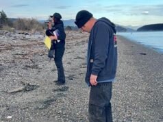 El extraño misterio de los cadáveres de perros encontrados en una isla remota finalmente se resuelve