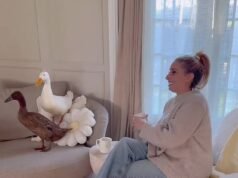 Por qué un pato como mascota se ha convertido en el accesorio favorito de los ricos y famosos