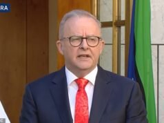 Anthony Albanese nombra nuevo jefe de defensa en medio de reorganización militar