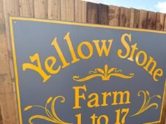 ¡Ya te sientes como en casa! Los viajeros revelan un cartel para una nueva granja después de la ‘apropiación de tierras’ de Surrey a medida que se instalan más caravanas en un sitio ‘ilegal’