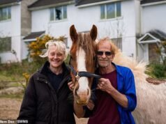 Dos okupas se mudan a una ‘finca fantasma’ con sus ponis y rottweilers ‘por seguridad’… y los residentes quieren que se vayan