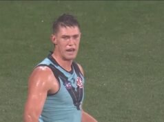 Revelado: la teoría de la conspiración de los fanáticos del fútbol sobre el árbitro de la AFL que acusó a la estrella de llamarlo tramposo