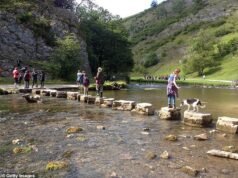 Deje de caminar sobre los famosos escalones, dice National Trust