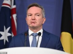 La contundente respuesta de dos palabras de Chris Bowen a una pregunta clave sobre el impuesto especial al combustible genera esperanzas de extensión para los conductores cansados