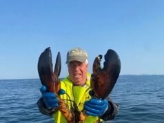 La guerra de la langosta de David y Goliat sacude la costa de Maine mientras los barcos pesqueros de una pequeña cooperativa local se enfrentan a un rival mucho más grande.