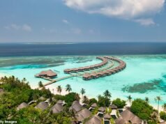 Ataque de tiburón en luna de miel: recién casado lucha por su vida y le amputan una pierna mientras estaba de vacaciones en Maldivas