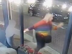 La langosta ‘liberada’ de un restaurante por una activista por los derechos de los animales puede haber muerto instantáneamente cuando la arrojó al mar, dice furiosa su dueña