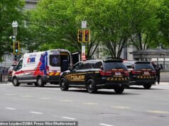 Hombre atacado por el Servicio Secreto después de intentar SALTAR la valla de la Casa Blanca con Trump dentro