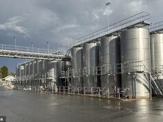 La alguna vez próspera industria vitivinícola de Australia ahora está de rodillas. Y los culpables son los “buenos bebedores dobles” de la Generación Z, dice el productor líder