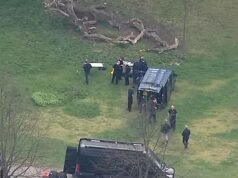 El parque de Londres reabre después de que la policía investigara el ‘vídeo de drones que transportaban materiales cancerígenos a la embajada de Israel’