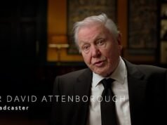 David Attenborough cuenta todo sobre la reina que conoció en un nuevo documental de la BBC mientras un amigo de la infancia recuerda haber estado junto a Isabel II frente a la multitud de la coronación.