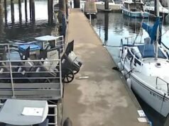 Una familia obtiene una gran victoria después de que una niña de 2 años sobreviviera al violento ataque de una NUTRIA