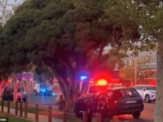 Un muerto, otro criticado después de que un auto atropellara a un grupo de fanáticos afuera del popular evento Comic Con en Melbourne